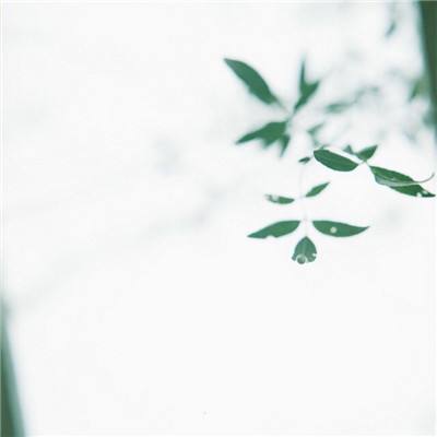 周杰伦新专辑“情怀杀”